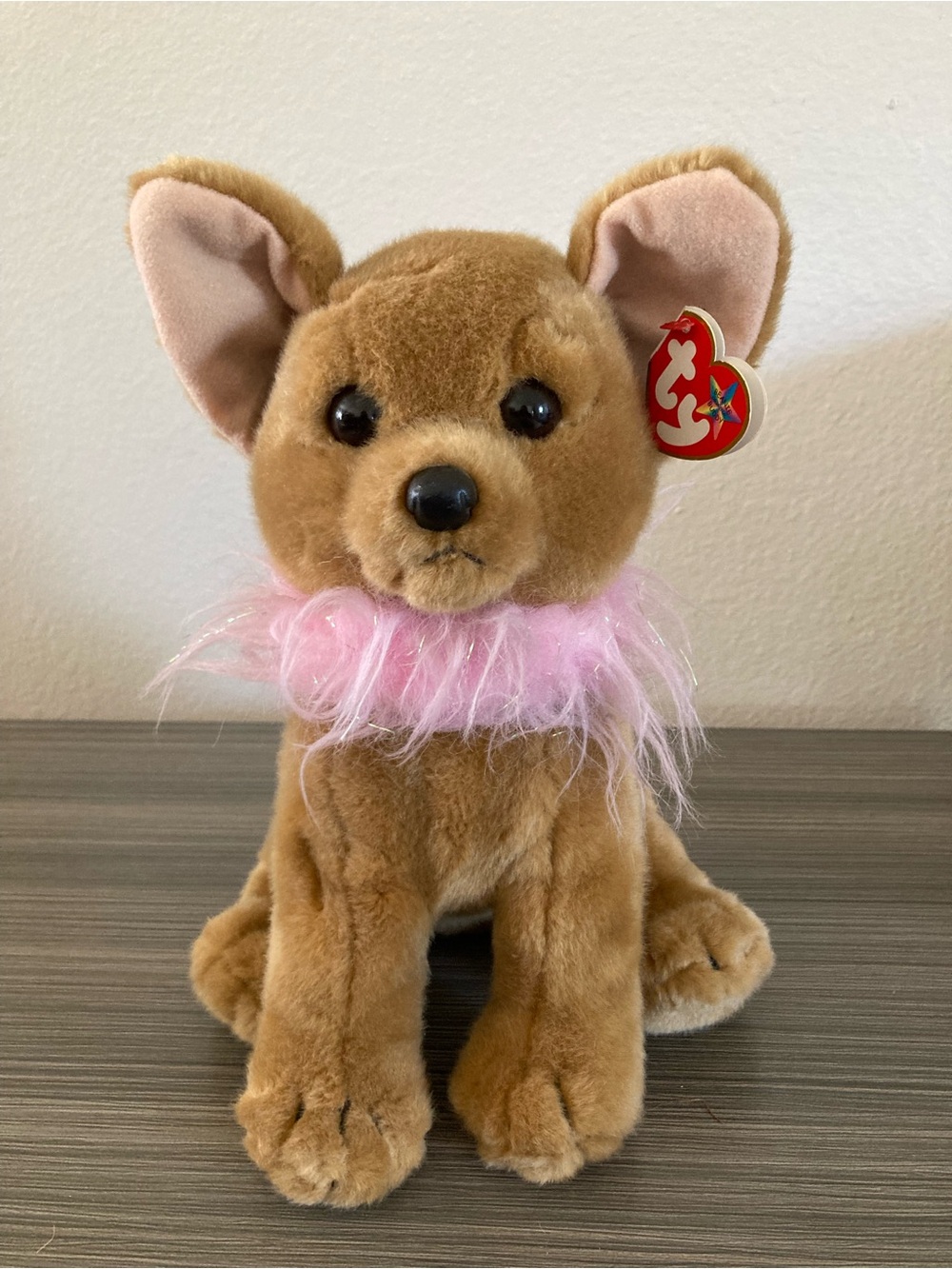 TY Beanie Buddy - DIVALECTABLE the Chihuahua (10 inch)